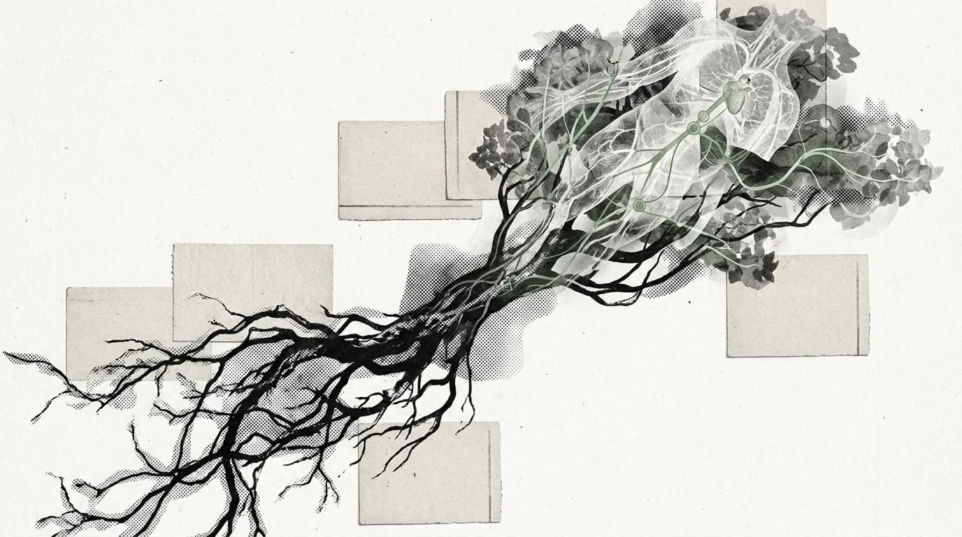 Root-and-canopy collage with black root lines, pale source cards, and sparse green signal marks