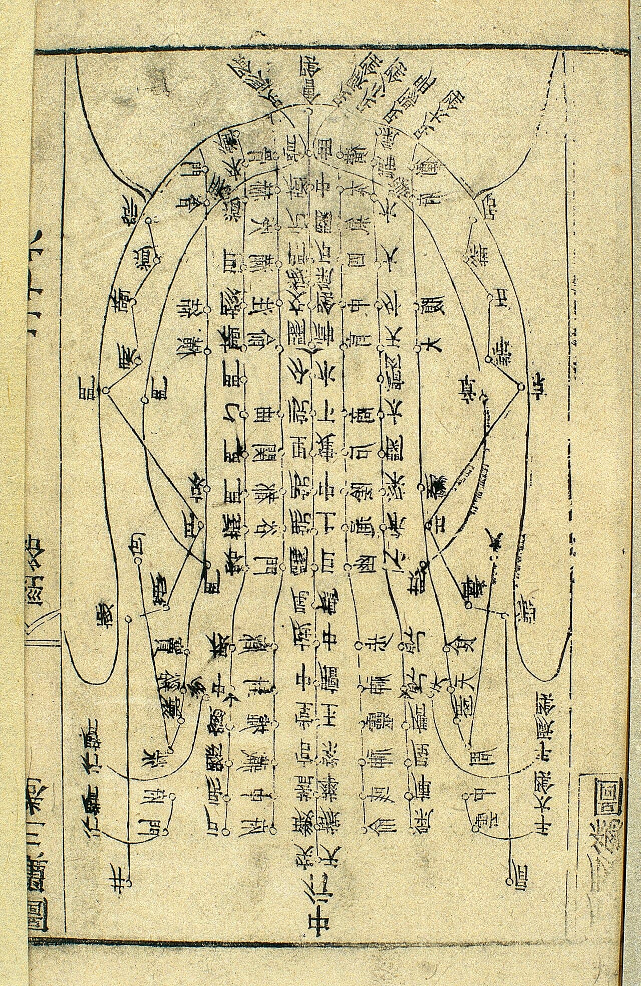 Historical chest and abdomen acupuncture chart shown as a torso chart.